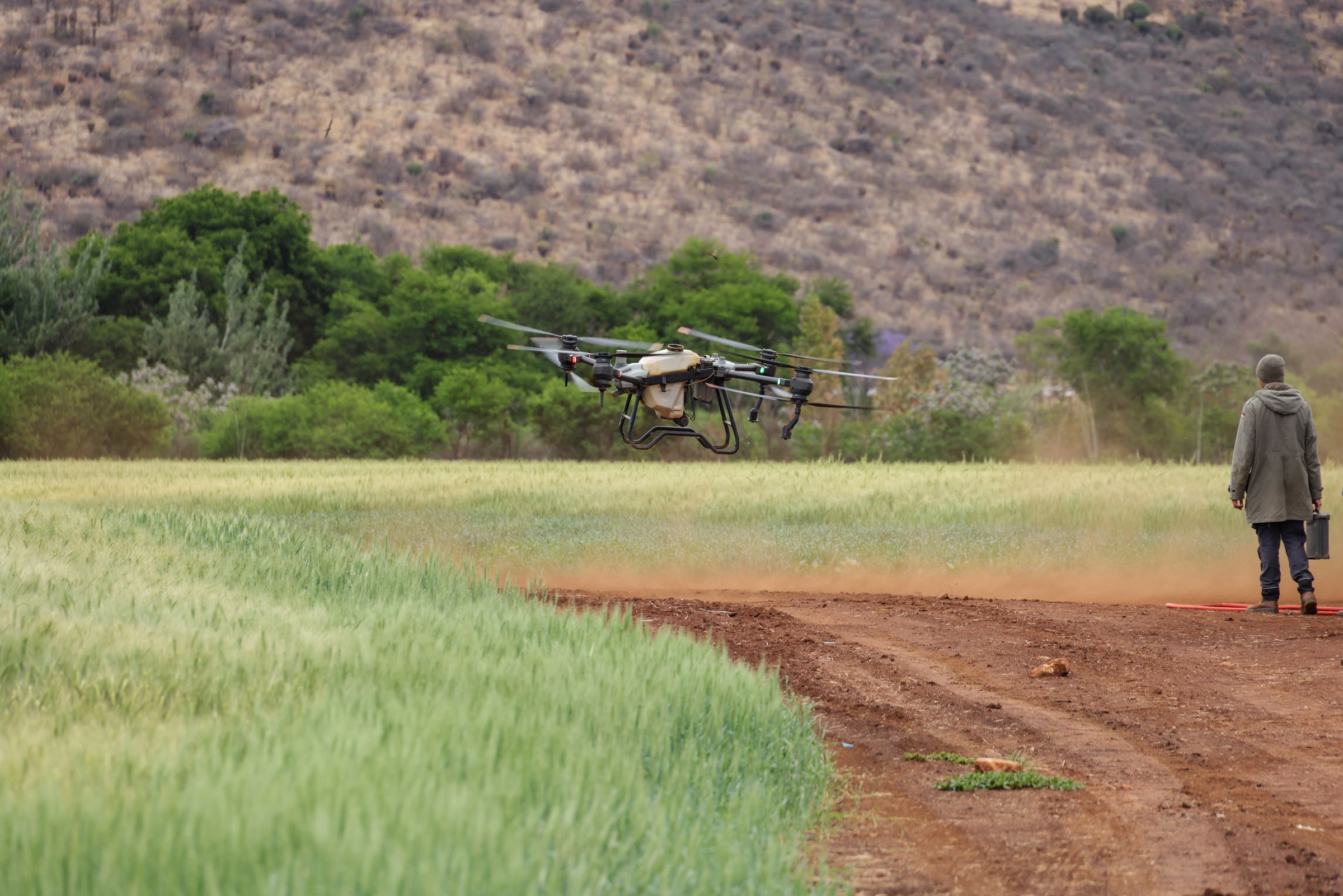 Agricultural drone flying above a green crop field with a farmer standing at the right